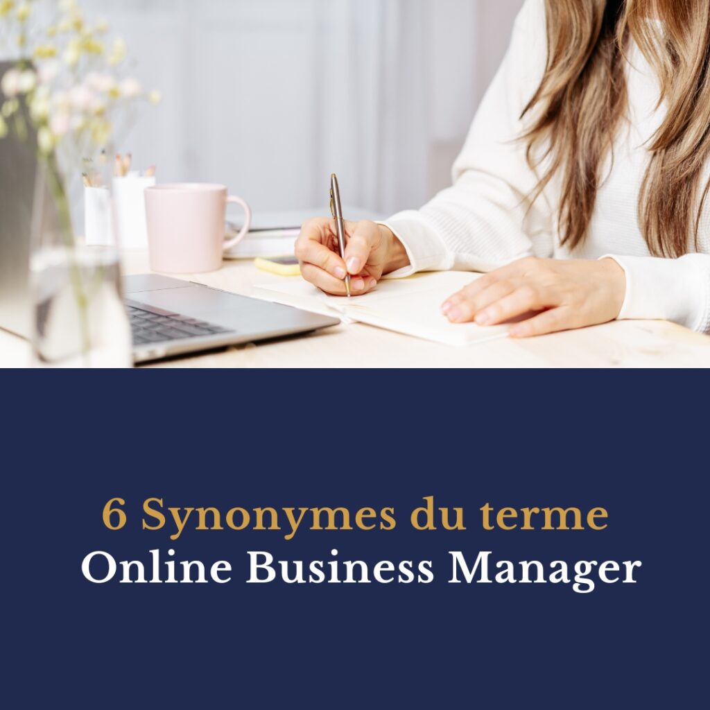 6 Synonymes du terme Online Business Manager