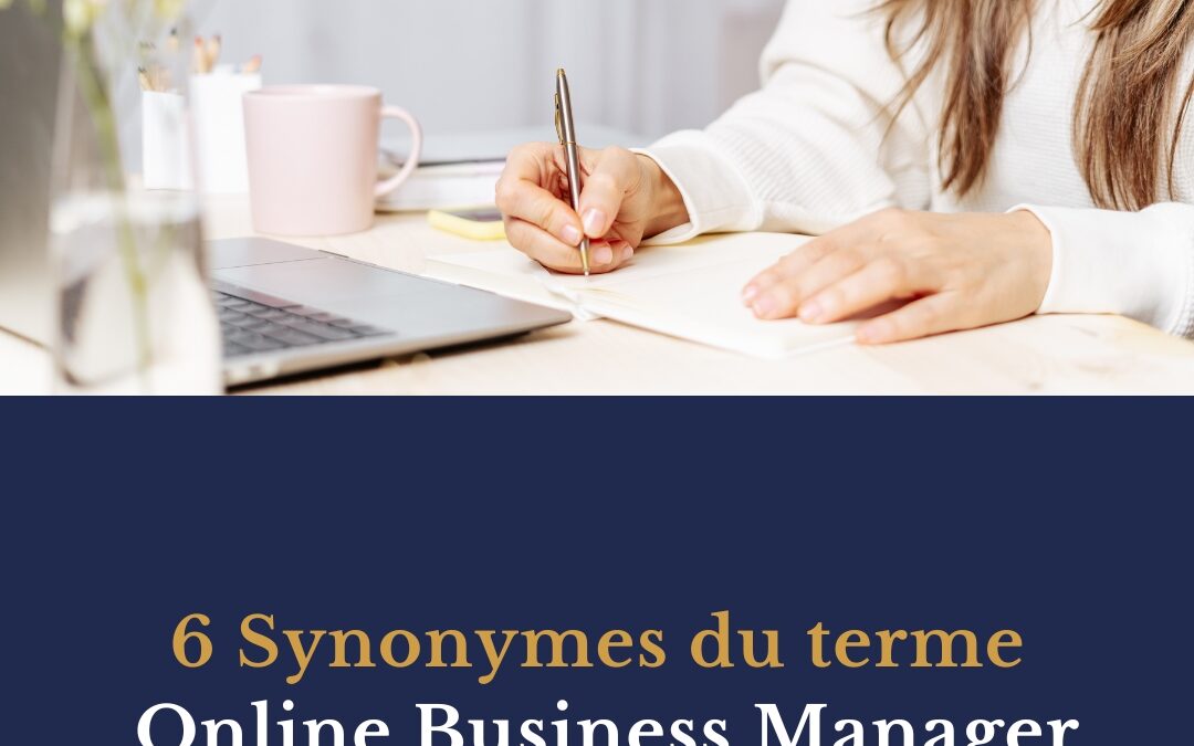 6 Synonymes du terme Online Business Manager